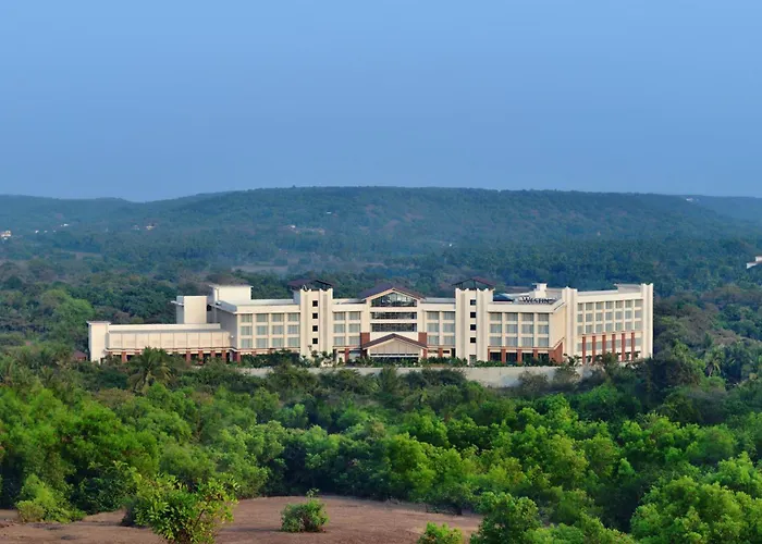 The Westin Goa, Anjuna photo